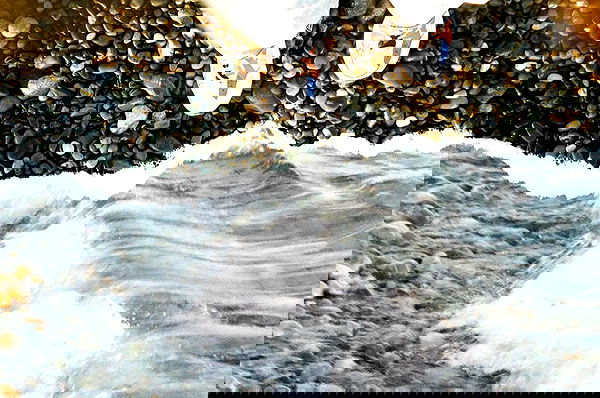 kkulakovaa image ~ Altpins