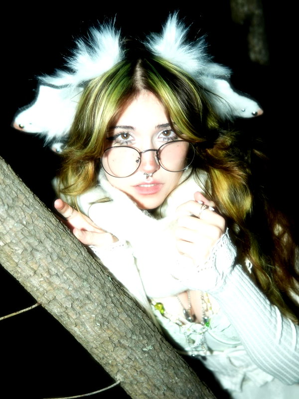blossom_in_my_moonlight instagram image archive image
