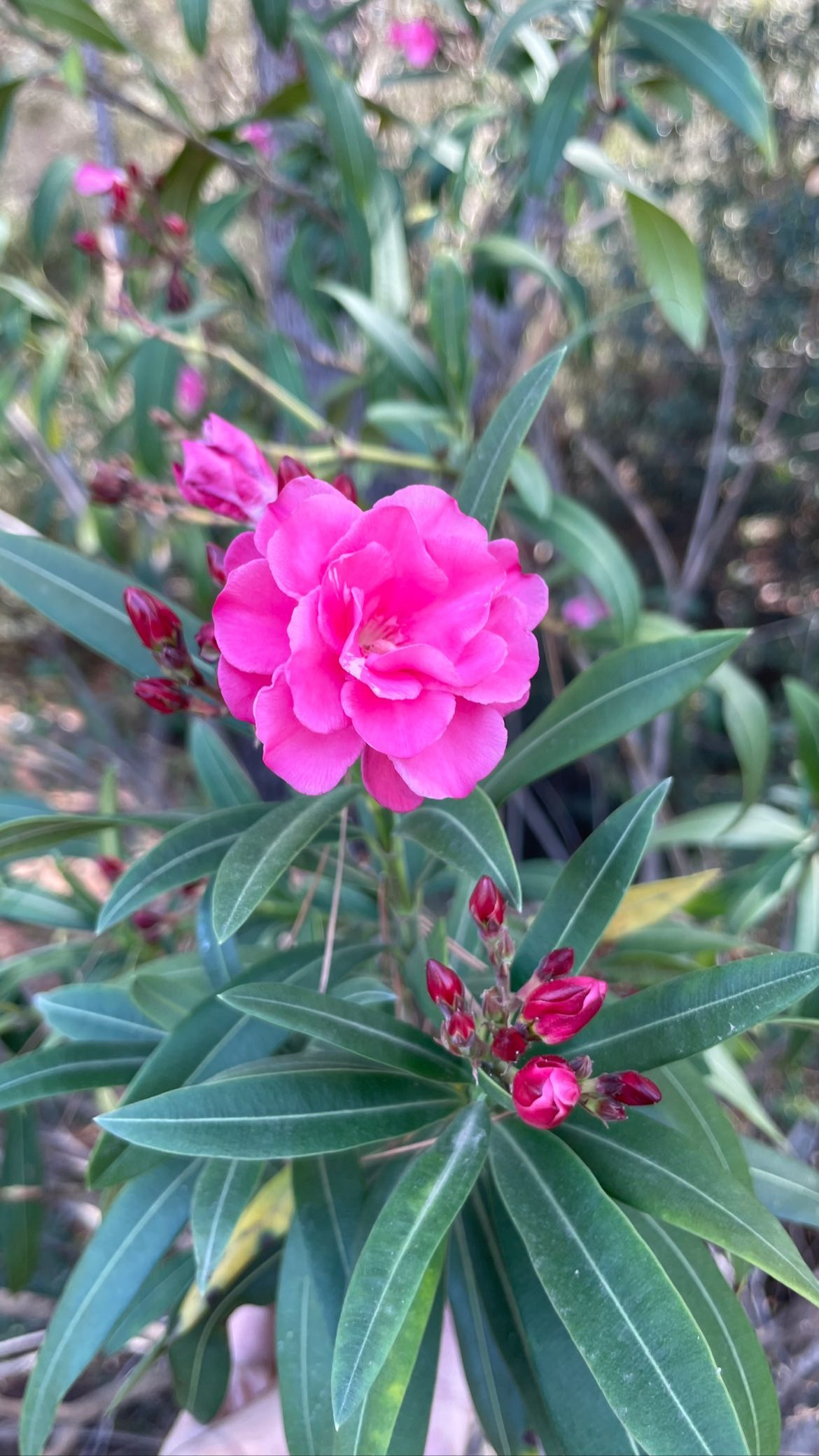 shunli__mei instagram image archive image