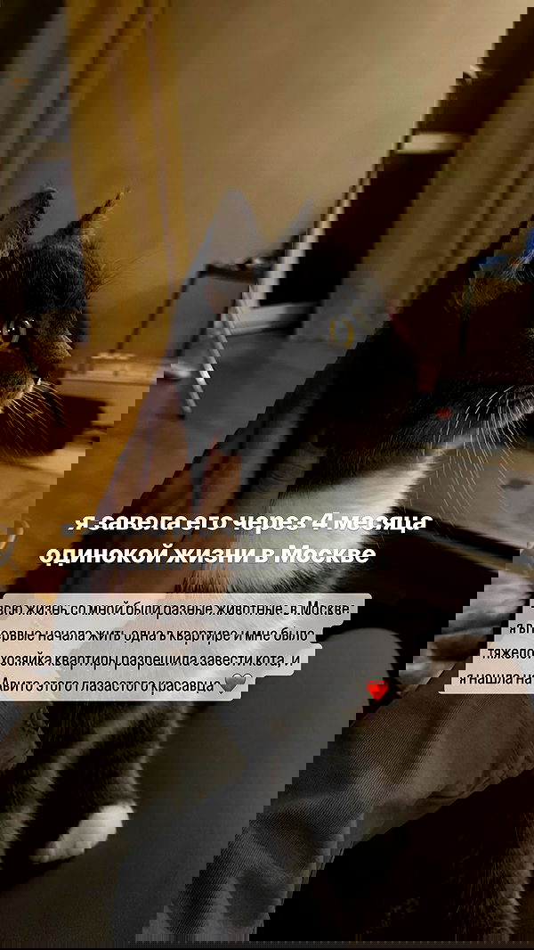 kkulakovaa image ~ Altpins