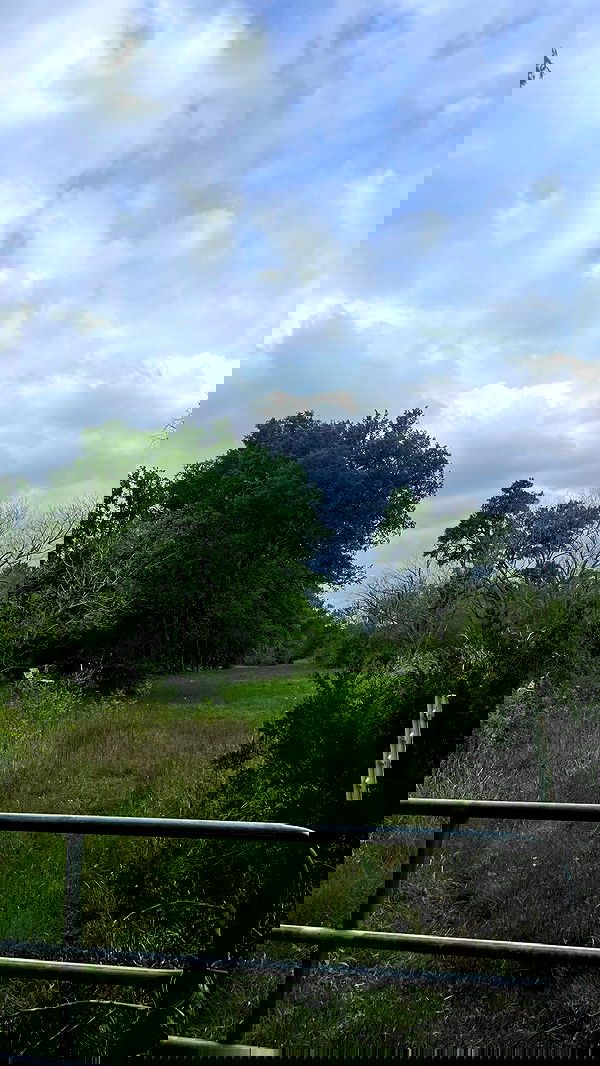 thelizzyporter thelizzyporter archive image