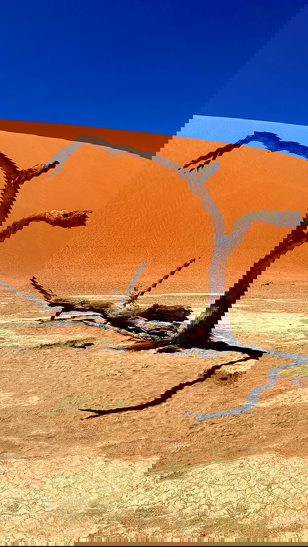 taylor.creeden taylor.creeden archive image