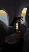 mekhrona_18 Altpins Profile Picture