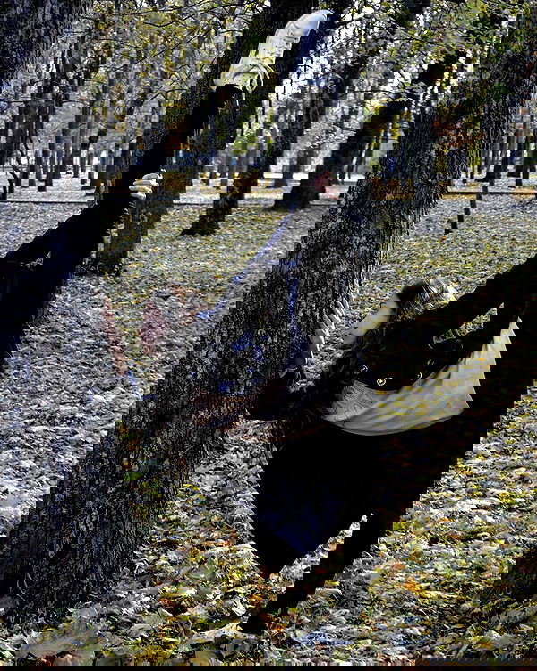 kkulakovaa image ~ Altpins