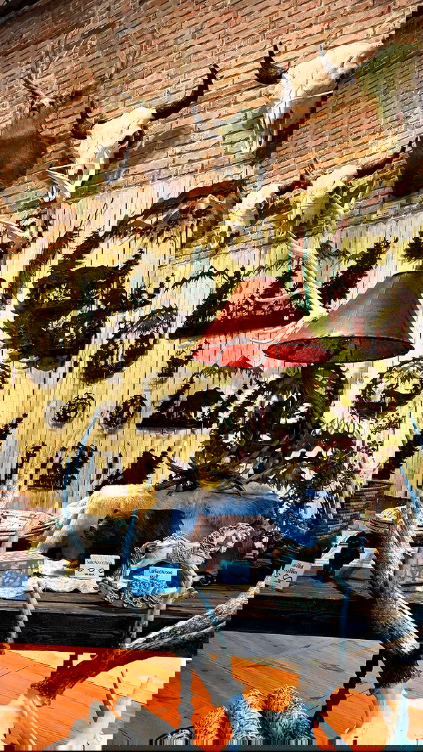 zommmbri zommmbri archive image