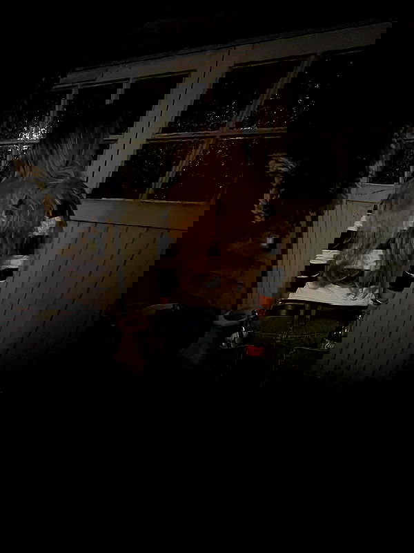 kitty.elliss kitty.elliss archive image