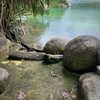 lolontlia Altpins Profile Picture