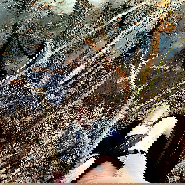 annfigmax image ~ Altpins