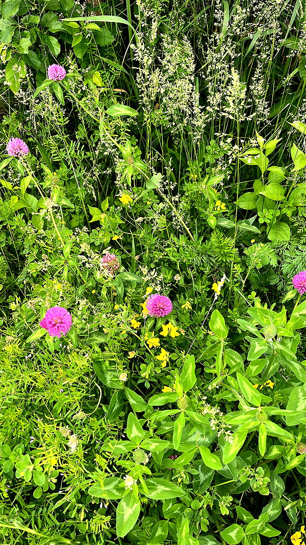 chanakateri instagram image archive image