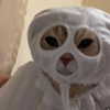 newmakeupgoddess Altpins Profile Picture
