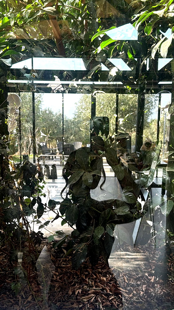 orcoheen instagram image archive image