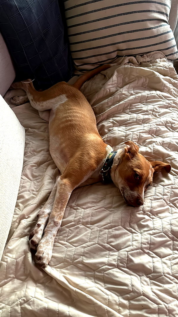 olivia.bolgerr instagram image archive image