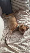 olivia.bolgerr Altpins Profile Picture