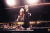 adele Altpins Profile Picture