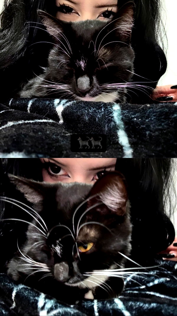 vampiryska vampiryska archive image