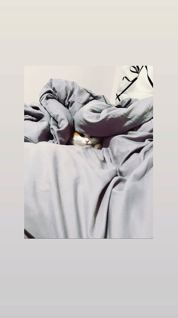 lapinangelia instagram image archive image
