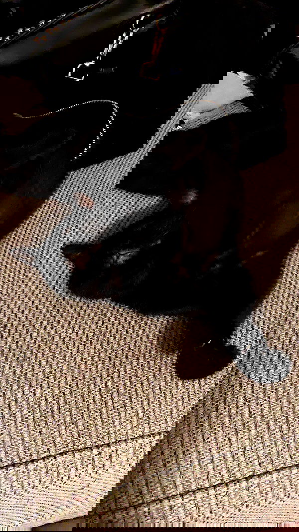 suikomuu suikomuu archive image