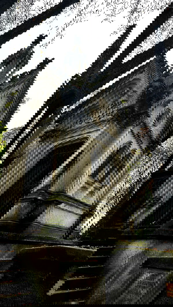 vwnrottie vwnrottie archive image