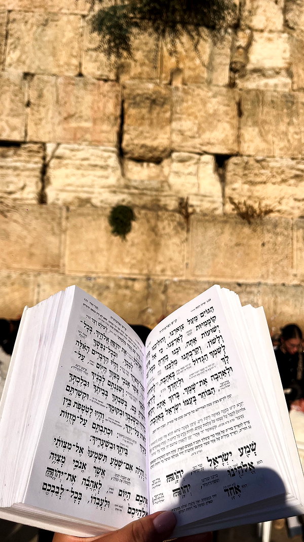 rivka.vel rivka.vel archive image