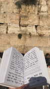 rivka.vel Altpins Profile Picture