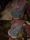 isavramirez Altpins Profile Picture