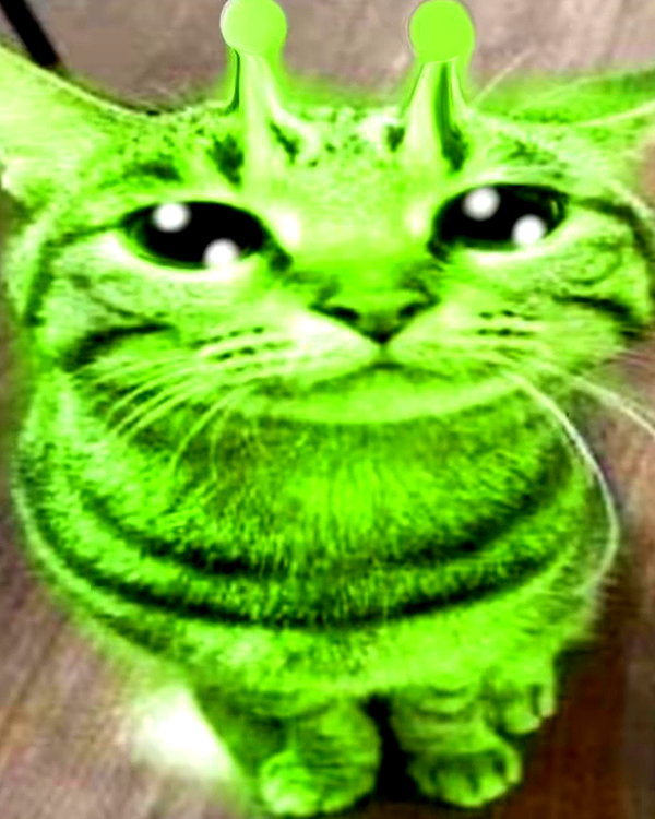 catl0verr69 instagram image archive image