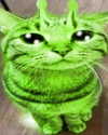 catl0verr69 Altpins Profile Picture