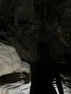 vvelum_ Altpins Profile Picture
