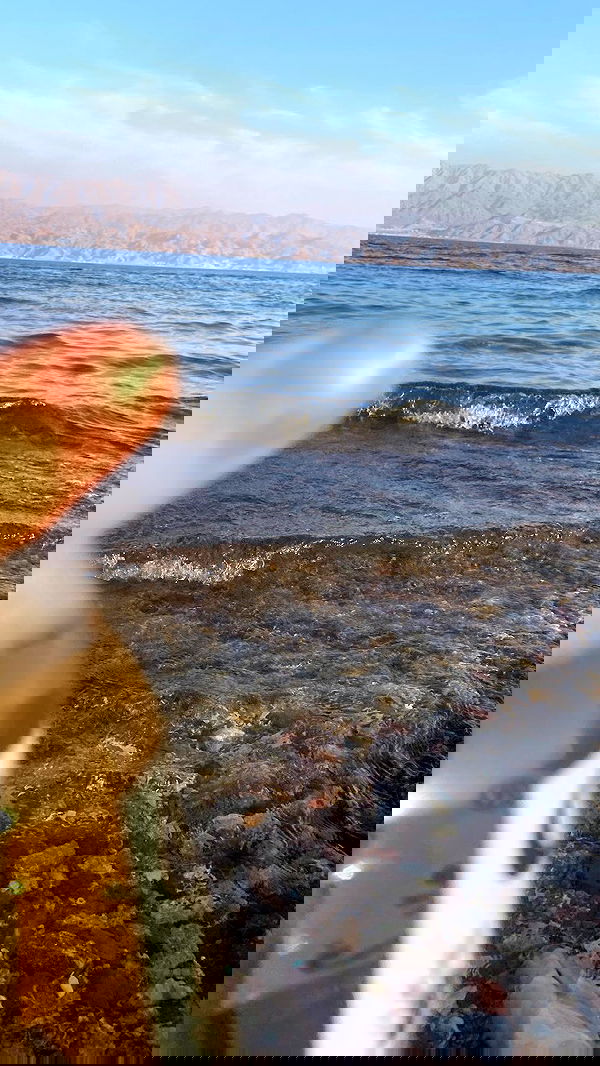 m1ry2m_ m1ry2m_ archive image