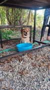 alma.almog Altpins Profile Picture