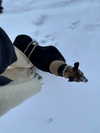 lilih Altpins Profile Picture
