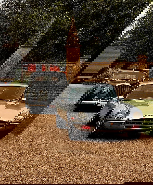 taylor.creeden taylor.creeden archive image