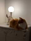 iheartpidge Altpins Profile Picture