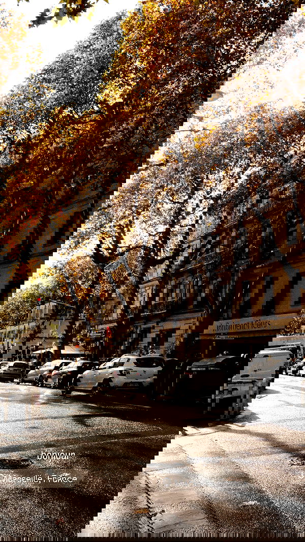 giangg._ giangg._ archive image