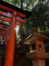 vollkova__ Altpins Profile Picture