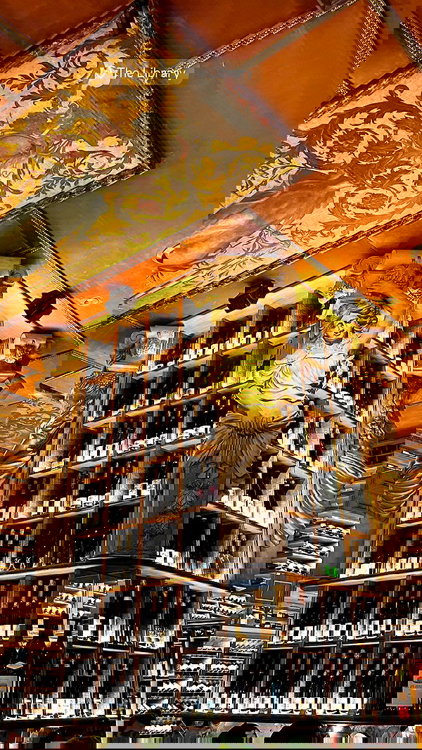 taylor.creeden taylor.creeden archive image