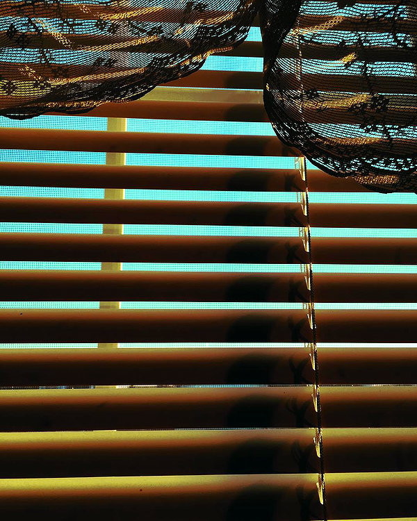 hallucineon instagram image archive image