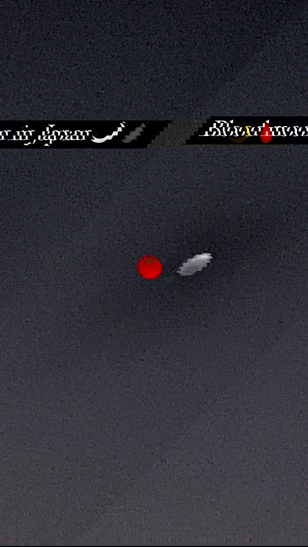 silkton image ~ Altpins