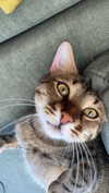 ronyida_ Altpins Profile Picture