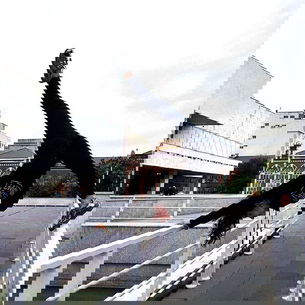 kkulakovaa image ~ Altpins