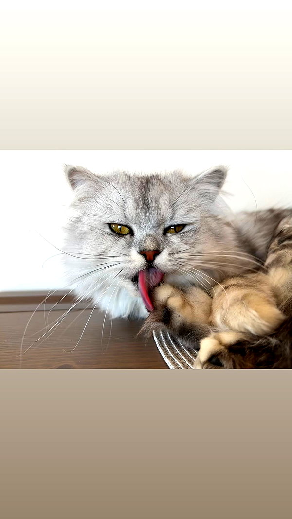 f4iryybl00d instagram image archive image