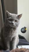 rchhhll Altpins Profile Picture