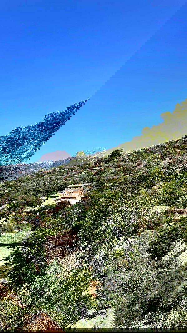 shunli__mei image ~ Altpins