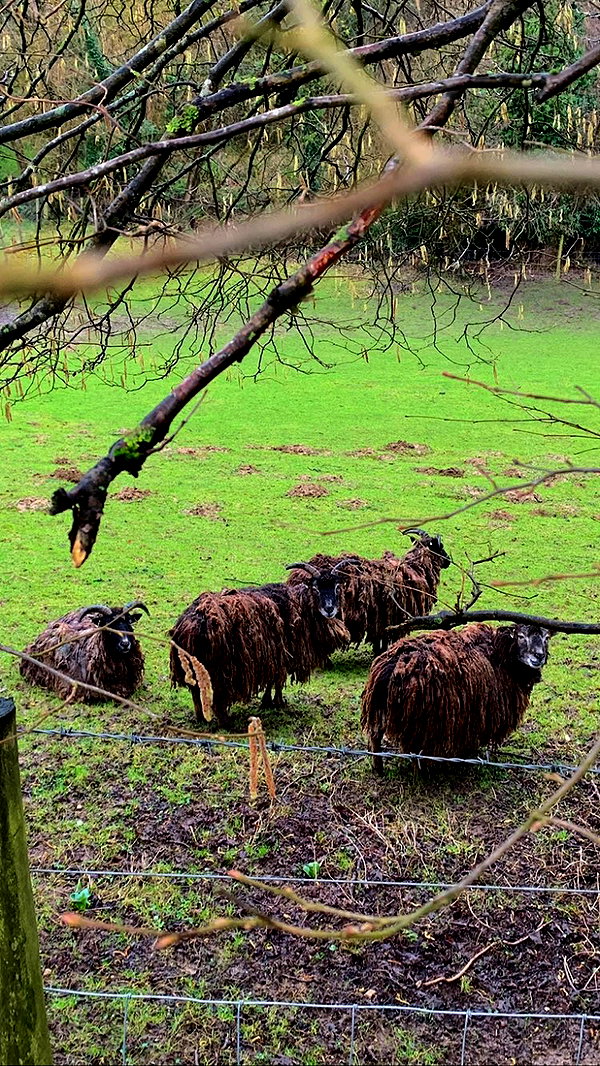 mollieruck instagram image archive image