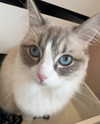 catl0verr69 Altpins Profile Picture