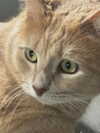 beebeeasmr18 Altpins Profile Picture