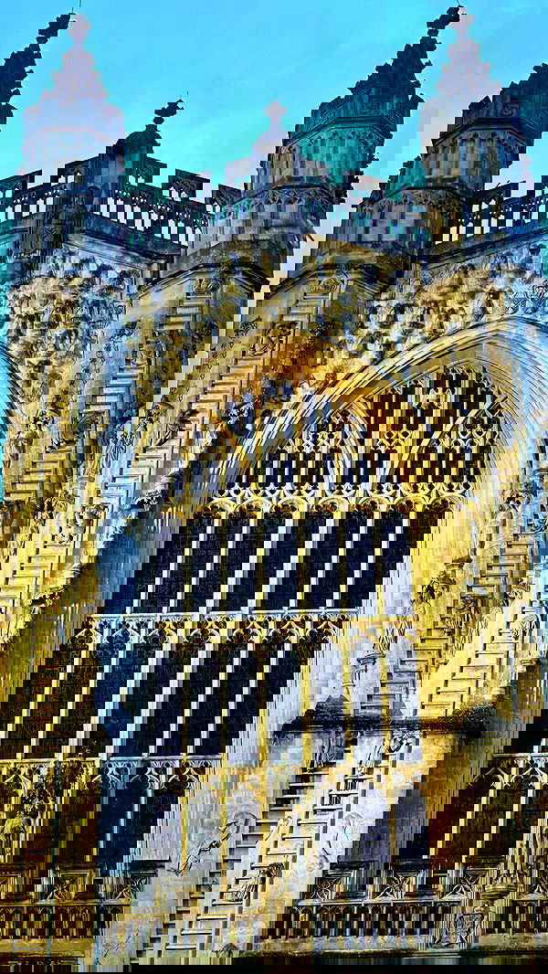 taylor.creeden taylor.creeden archive image