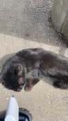 babynympho_archive Altpins Profile Picture