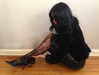 oliviiaa.rose Altpins Profile Picture