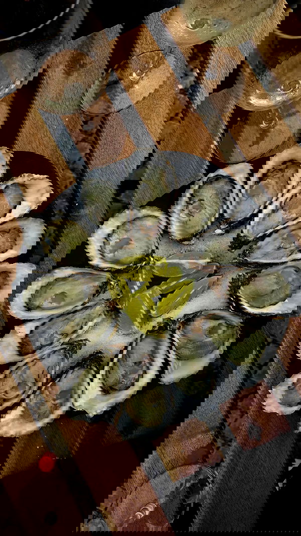 rebeccaschez rebeccaschez archive image